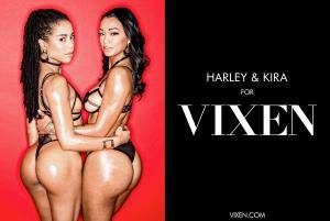 Original 2984 px/ 2000 px