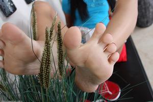 Original 1536 px/ 1024 px