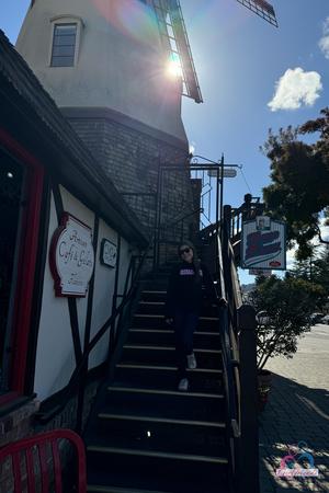 Original 2000 px/ 3000 px