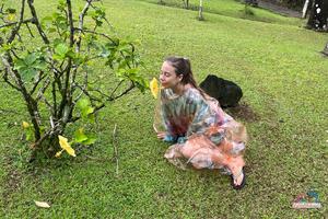 Original 3000 px/ 2000 px