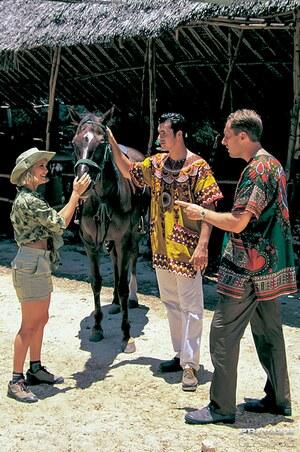 Original 2123 px/ 3200 px