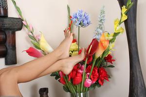 Original 1536 px/ 1024 px