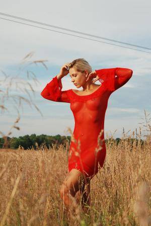 Original 1703 px/ 2544 px