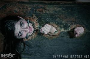 Original 1200 px/ 795 px