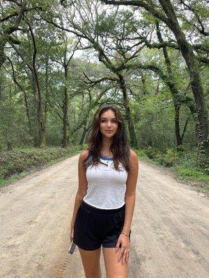 Original 1536 px/ 2048 px