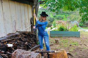 Original 2495 px/ 1663 px