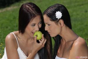 Original 1992 px/ 1328 px