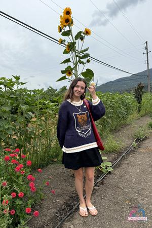 Original 2000 px/ 3000 px