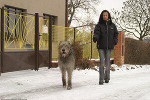 Original 1536 px/ 1024 px