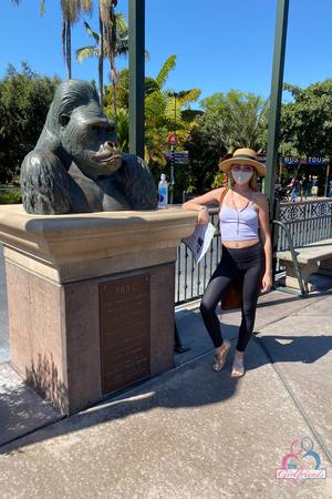 Original 2000 px/ 3000 px