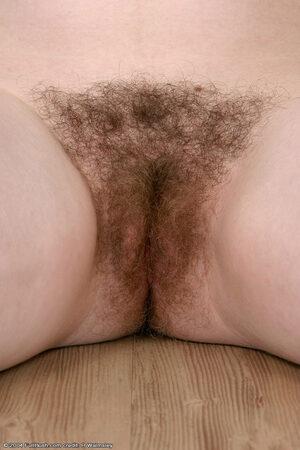 Original 683 px/ 1024 px