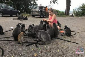 Original 3000 px/ 2000 px