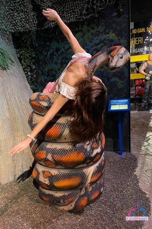 Original 2000 px/ 3000 px