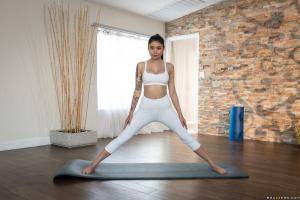 Original 2491 px/ 1663 px