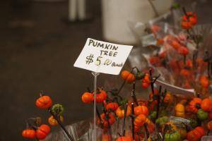 Original 1920 px/ 1280 px