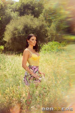 Original 2000 px/ 3000 px