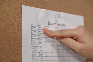 Original 2495 px/ 1663 px