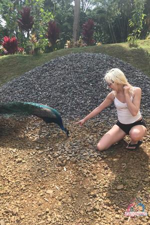 Original 2000 px/ 3000 px