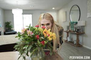 Original 1620 px/ 1080 px