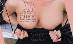 Original 3000 px/ 1823 px