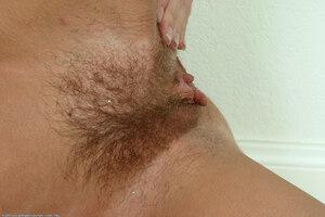 Original 1536 px/ 1024 px