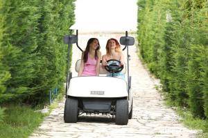 Original 1920 px/ 1280 px