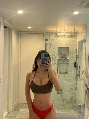 Original 1537 px/ 2049 px