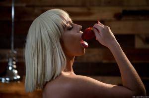 Original 2495 px/ 1663 px