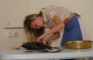 Original 1200 px/ 782 px