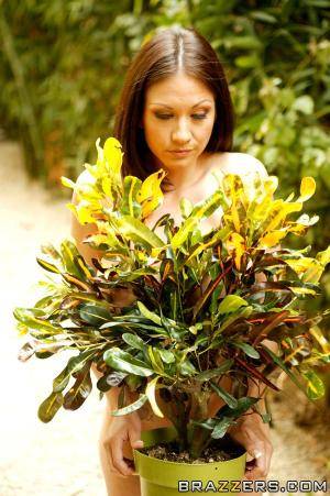 Original 600 px/ 902 px