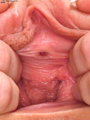 Original 1200 px/ 1600 px