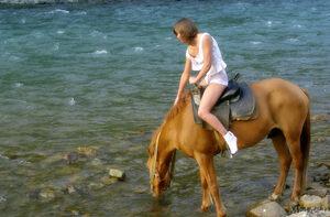 Original 2000 px/ 1312 px