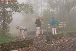 Original 1472 px/ 981 px