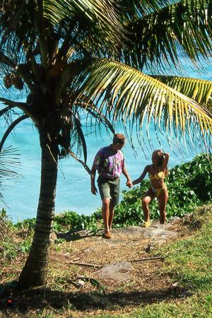 Original 800 px/ 1200 px