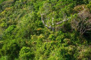 Original 5760 px/ 3840 px