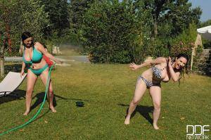 Original 2000 px/ 1331 px