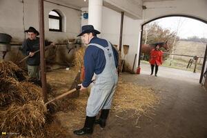 Original 1680 px/ 1120 px