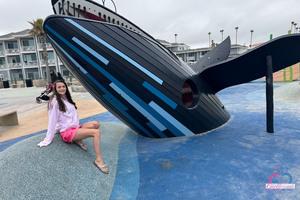 Original 5000 px/ 3333 px