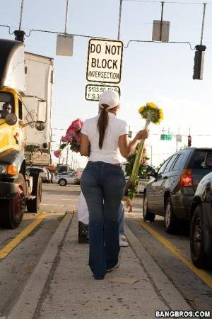 Original 533 px/ 800 px