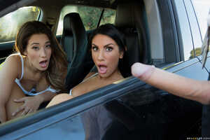 Original 2495 px/ 1663 px