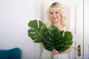 Original 3600 px/ 2400 px