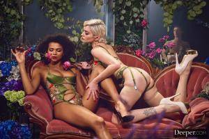 Original 2999 px/ 2000 px