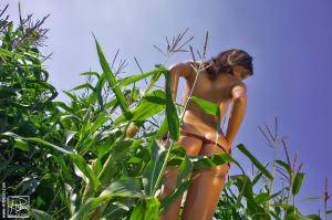 Original 1151 px/ 767 px