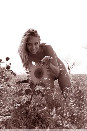 Original 2000 px/ 3000 px