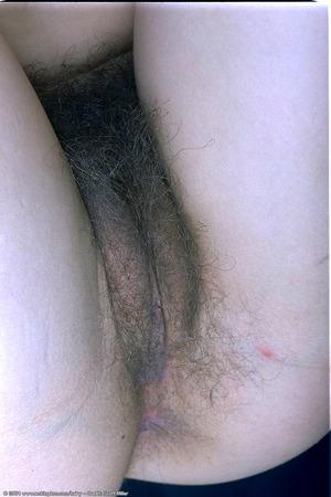 Original 682 px/ 1024 px