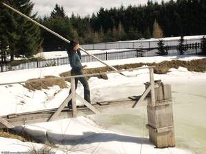 Original 1600 px/ 1200 px