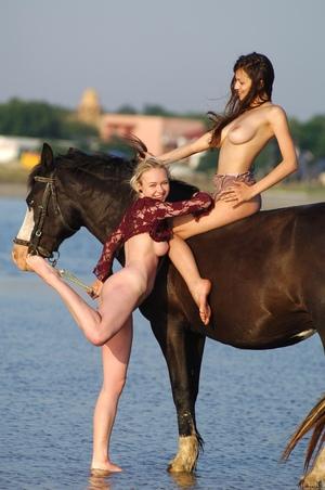 Original 1360 px/ 2048 px