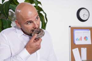 Original 2493 px/ 1663 px