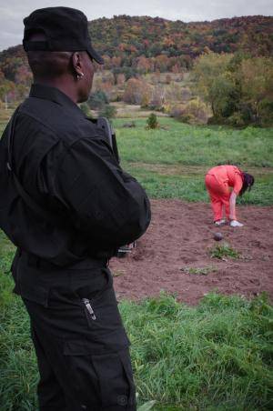 Original 795 px/ 1200 px