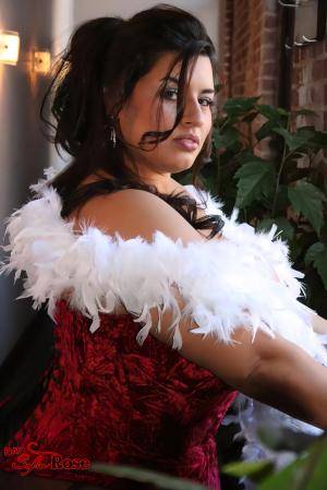 Original 2004 px/ 3000 px